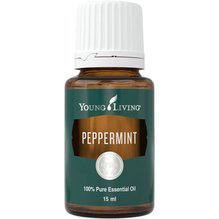 Pfefferminze 15ml