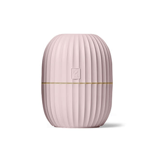 Cactus Diffuser Rosa