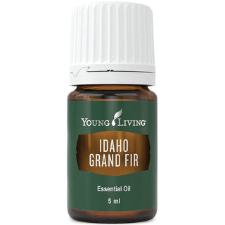 Idaho Grand fir - Riesentanne 5ml