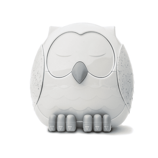 Snowy the Owl (Eule) Diffuser