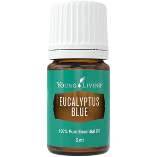 Eucalyptus Blue 5ml