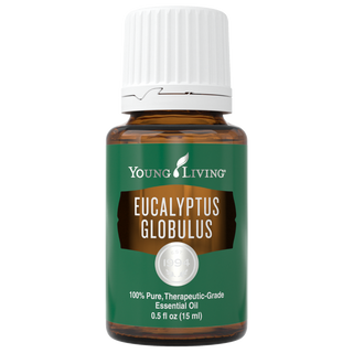 Eucalyptus Globulus 15ml